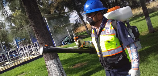 Desinfeccion cucarachas León