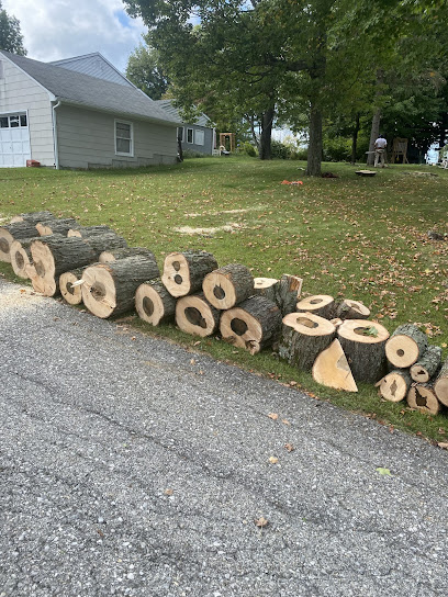 Tri State Yard Pros Tree’s and Stumps