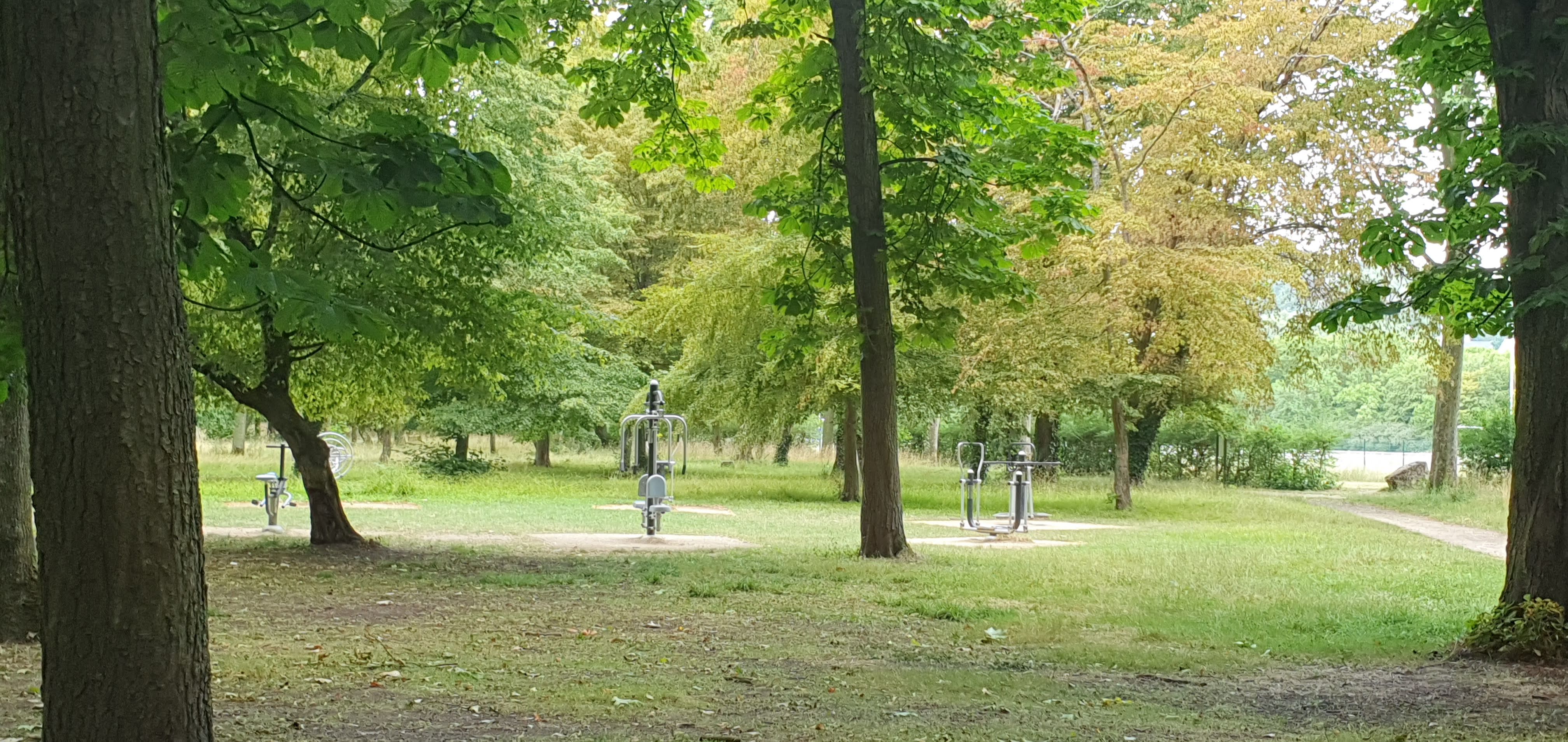 Photo n° 13 de l'avis de Paparazzi.x fait le 23/07/2023 à 08:48