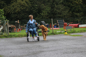 Os'mose ASBL - Chiens d'assistance