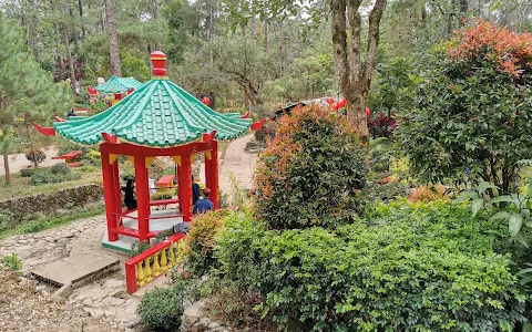 Baguio Botanical Garden image