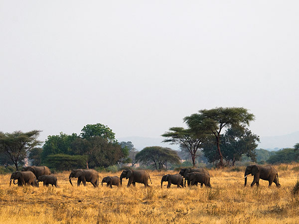 Rezensionen über Private Safaris - Schweizer Afrika Spezialist in Zürich - Reisebüro