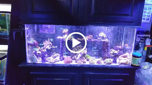 Belpre Aquarium & Pet Shop image 4