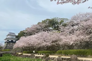 Omura Park image