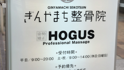 姿勢矯正ほぐす HOGUS