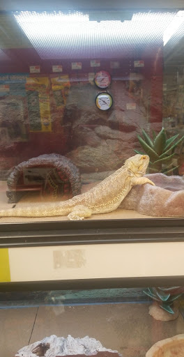 Pet Supply Store «Petco Animal Supplies», reviews and photos, 10383 Reisterstown Rd, Owings Mills, MD 21117, USA