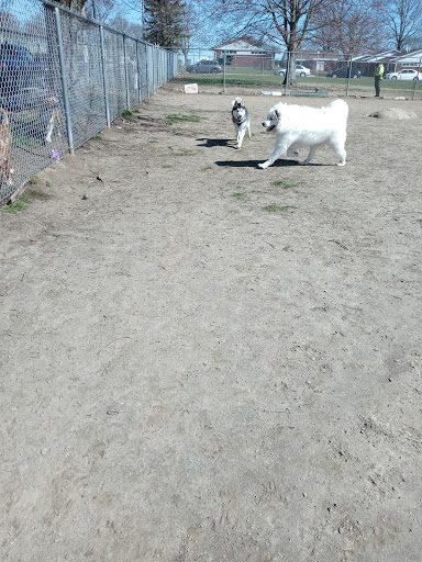 Park «Dog Park», reviews and photos, 1121 Locust St, Fall River, MA 02720, USA