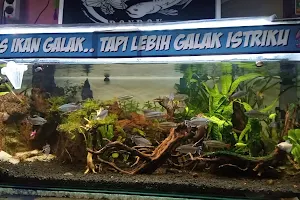 Pondok Aquarium image