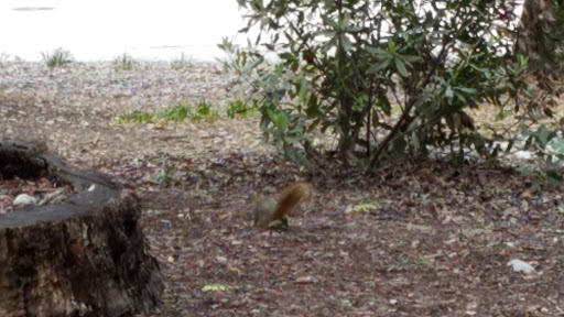 Book Store «Occidental College Bookstore», reviews and photos, 1600 Campus Rd, Los Angeles, CA 90041, USA