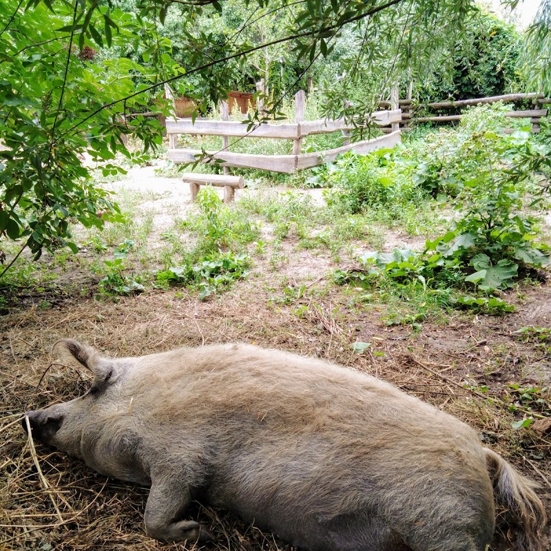 Kinderbauernhof Pinke-Panke