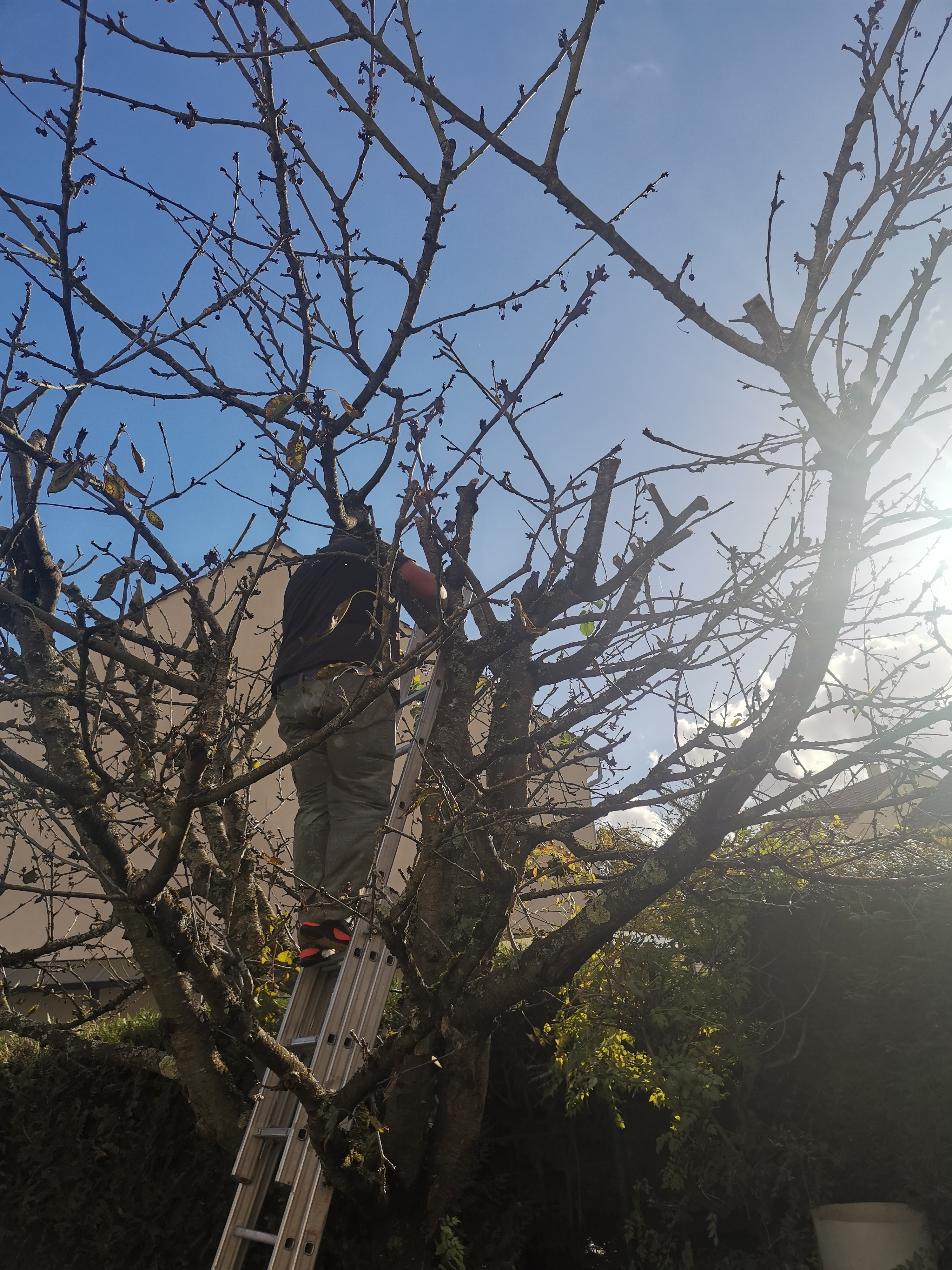 Photo n° 2 de l'avis de VIVIANE. fait le 24/10/2023 à 14:41