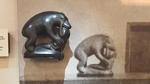 Natural History Museum «Burke Museum of Natural History and Culture», reviews and photos, 1413 NE 45th St, Seattle, WA 98105, USA