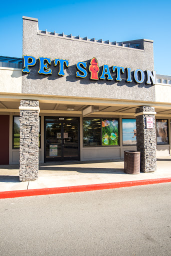 Pet Station Reno