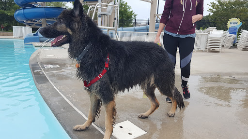 Public Swimming Pool «Frances Meadows Aquatic Center», reviews and photos, 1545 Community Way, Gainesville, GA 30501, USA