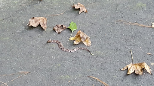 Recreation Center «Go Ape Zip Line & Treetop Adventure - Blue Jay Point County Park», reviews and photos, 3200 Pleasant Union Church Rd, Raleigh, NC 27614, USA