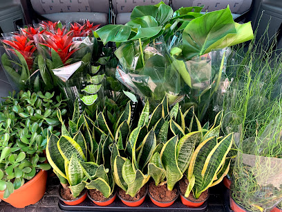 Artificial plant supplier