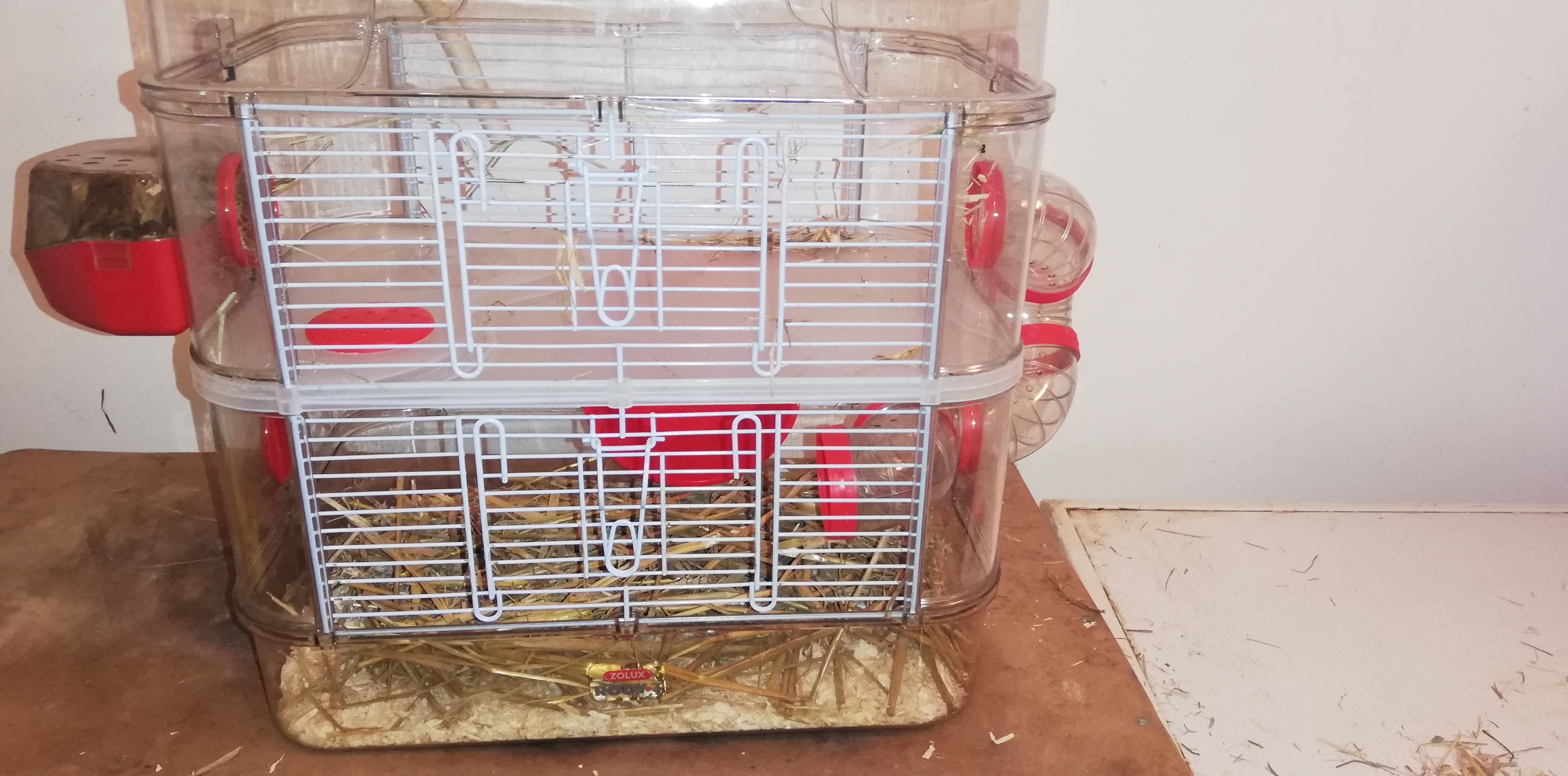 Photo n° 1 de l'avis de Sahra.� fait le 10/02/2022 à 16:40
