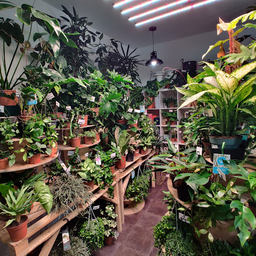 Reviews of The Plant Room by Sykes in Lincoln - Landscaper