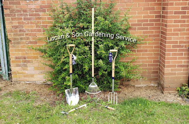Lucan and son gardening service