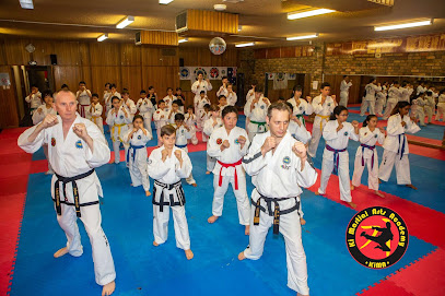 Ki Martial Arts Academy