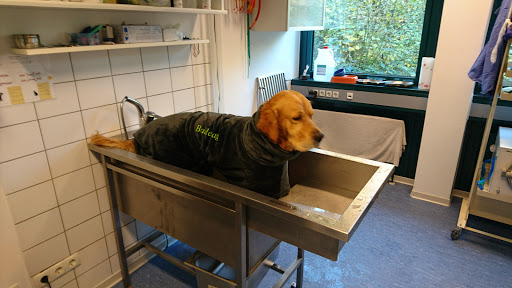 Dr. Guido Dedenbach unter Bad Neuenahr-Ahrweiler, 