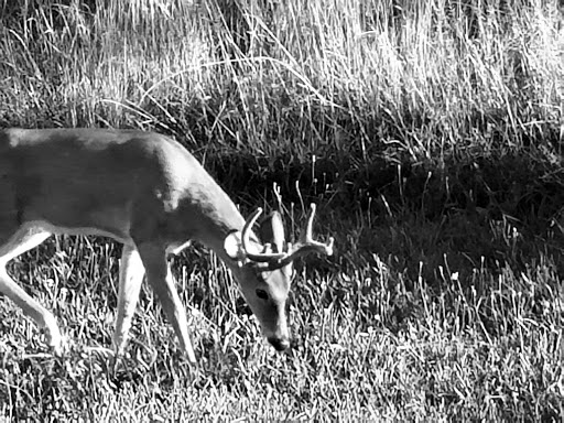 Memorial Park «Veterans Memorial Park», reviews and photos, 7619 Memphis Ave, Brooklyn, OH 44144, USA