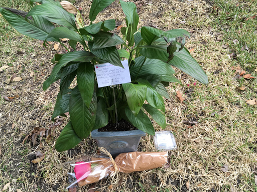 Florist «In Bloom Flowers», reviews and photos, 1912 E Hebron Pkwy, Carrollton, TX 75007, USA