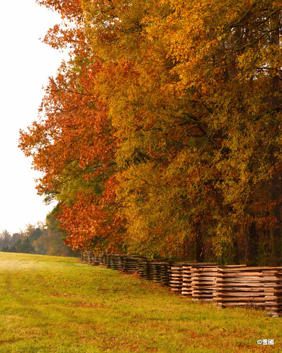 National Park «Chickamauga & Chattanooga National Military Park», reviews and photos, 3370 Lafayette Rd, Fort Oglethorpe, GA 30742, USA
