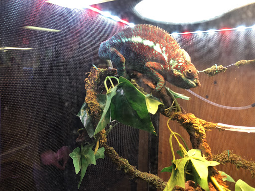 Tropical Fish Store «Ocean Gallery», reviews and photos, 980 US-22, North Plainfield, NJ 07060, USA