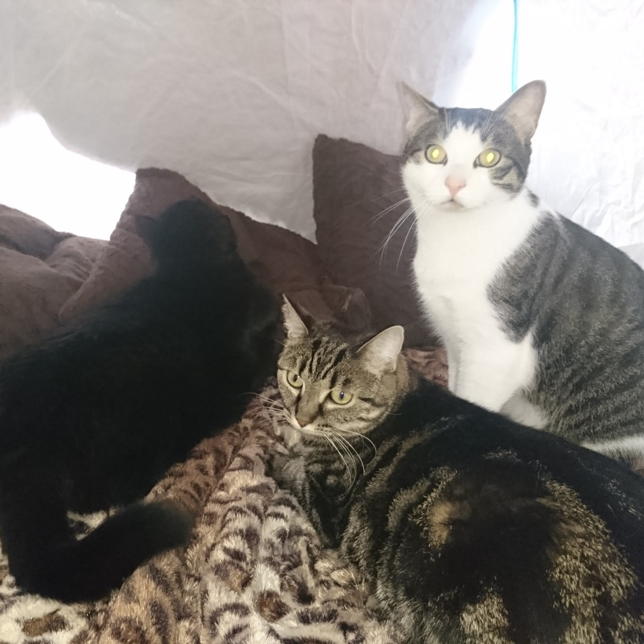 Photo n° 1 de l'avis de Erika. fait le 14/11/2018 à 15:52