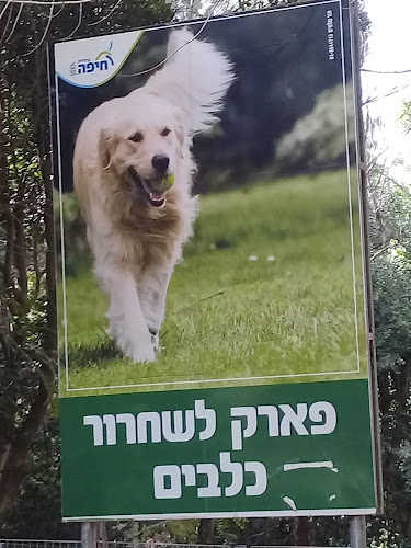יעקב אזולאי 17, חיפה