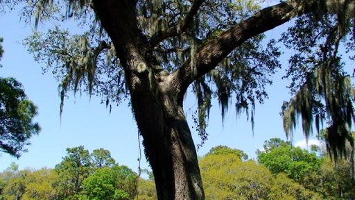Golf Club «Sea Pines Country Club - Golf Club», reviews and photos, 30 Governors Rd, Hilton Head Island, SC 29928, USA