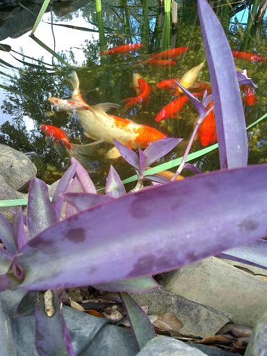 Sod Supplier «Woerner Landscape Source & Pet Supply - Pensacola», reviews and photos, 1332 Creighton Rd, Pensacola, FL 32504, USA