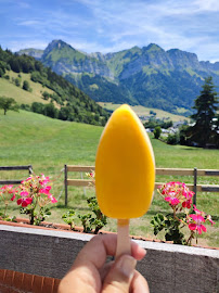 Jardin du Café Le Petit Chalet à Crêpe à Talloires-Montmin - n°2