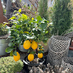 Photo n°5 de l'avis de Andreas.a fait le 30/04/2023 à 15:59 sur le  Bar Café Brigitte à Burgeis