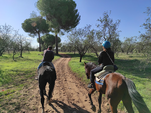 Horseback riding nearby Seville
