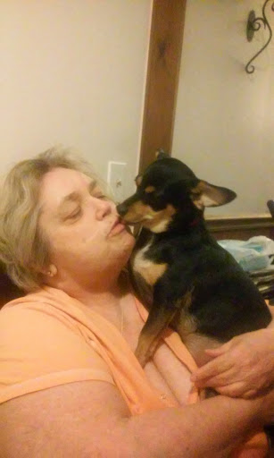 Pet Supply Store «Pet Supplies Plus», reviews and photos, 61 Irving Park Rd, Streamwood, IL 60107, USA