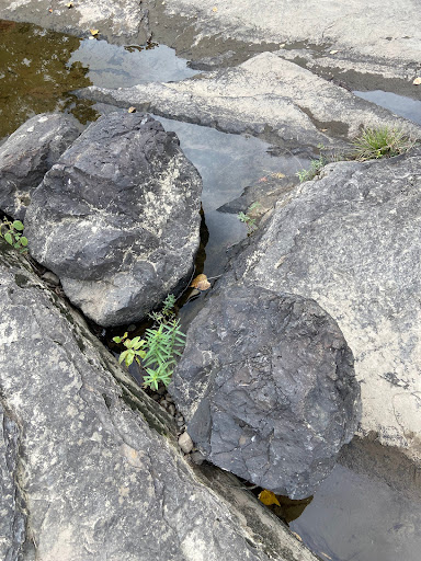 Tourist Attraction «Dinosaur Footprints», reviews and photos, US-5, Holyoke, MA 01040, USA