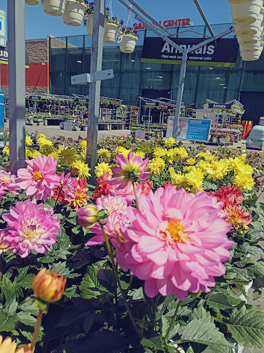 Home Improvement Store «The Home Depot», reviews and photos, 50-10 Northern Blvd, Long Island City, NY 11101, USA