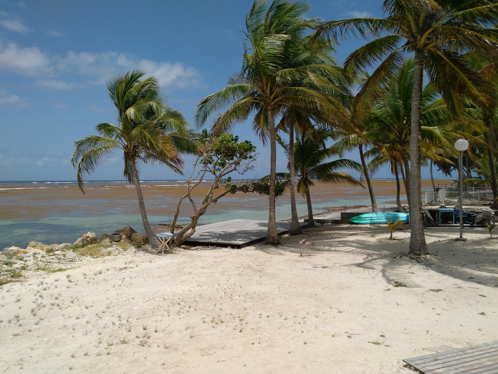 Foto von Anse du Belley Beach wilde gegend