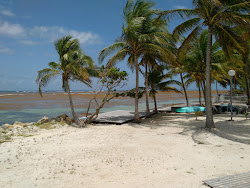 Foto von Anse du Belley Beach wilde gegend