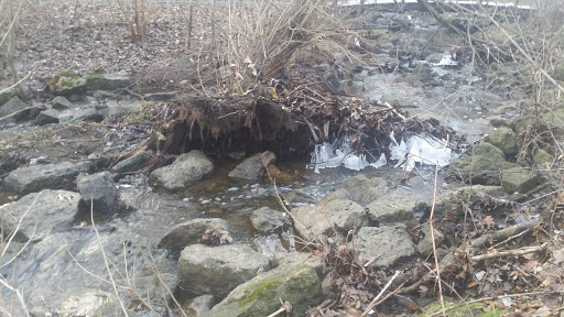 Park «Leo Leathers Park», reviews and photos, Buckingham Rd & Manor Ln, Mundelein, IL 60060, USA