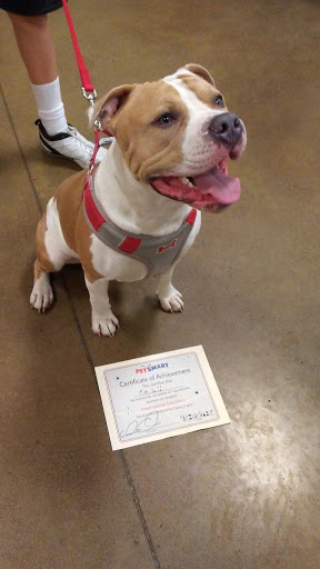 Pet Supply Store «PetSmart», reviews and photos, 10309 156th St E, Puyallup, WA 98373, USA