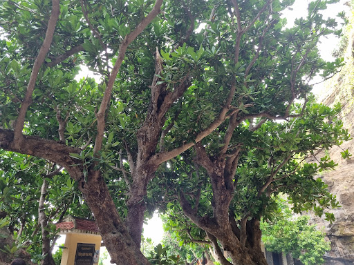 Top 20 cửa hàng akemi Huyện Lý Sơn Quảng Ngãi 2022