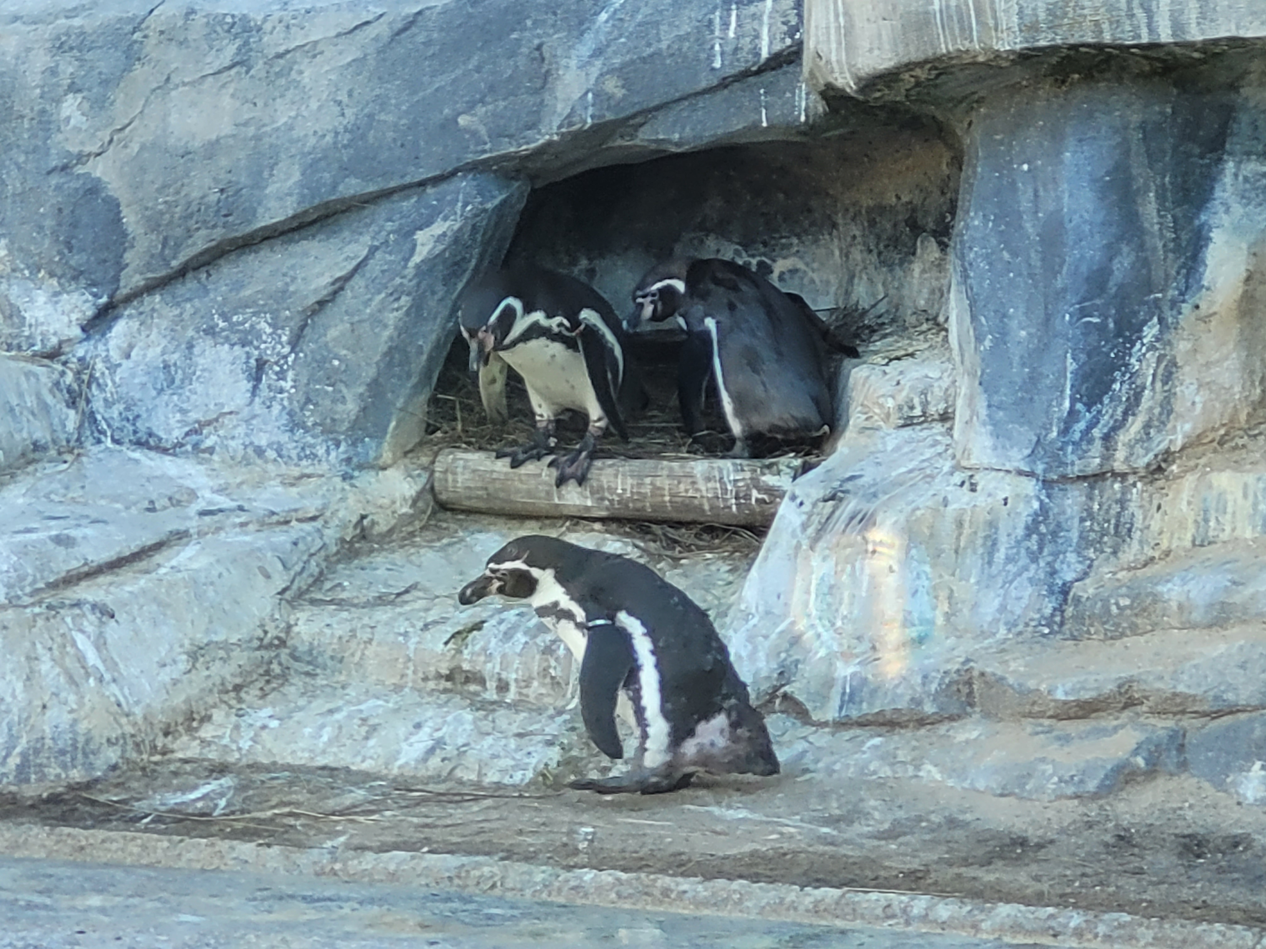 Photo n° 8 de l'avis de Nathalie.o fait le 17/04/2022 à 11:27