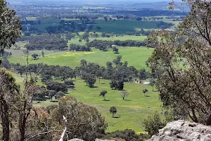 Mount Piper Conservation Reserve image