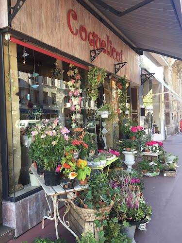 Fleuriste Le Havre - Coquelicot