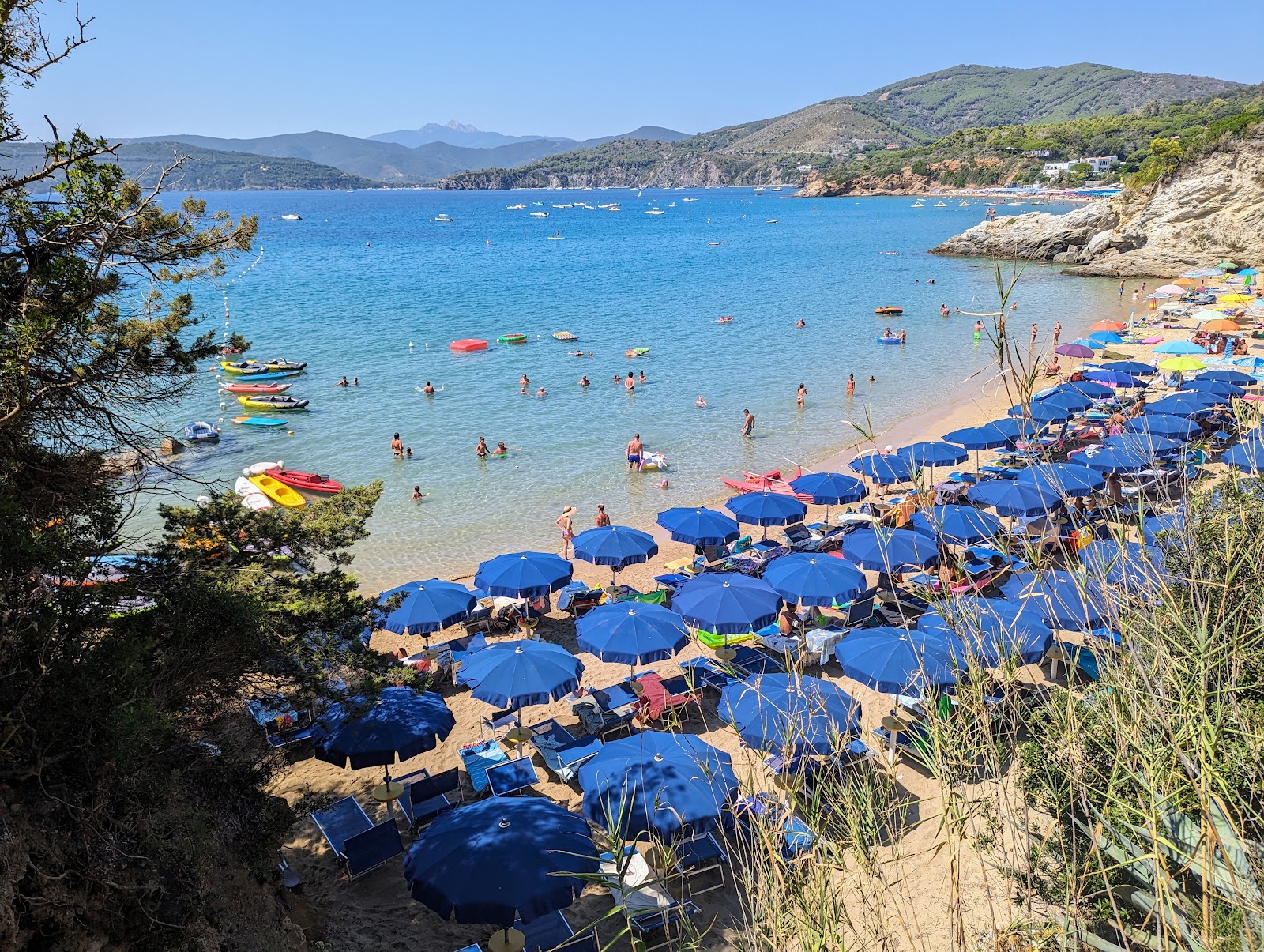 Le Calanchiole Beach'in fotoğrafı çok temiz temizlik seviyesi ile
