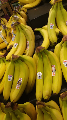 Grocery Store «Food Lion», reviews and photos, 9380 Ocean Hwy, Pawleys Island, SC 29585, USA