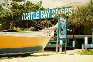 Turtle Bay Divers image